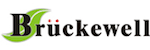 BWTECH[Bruckewell Technology LTD]的LOGO-天天IC網(wǎng)